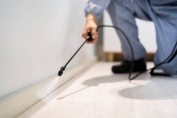 Licensed Mosquito Control service in Herndon, VA - Show Me Pest Control