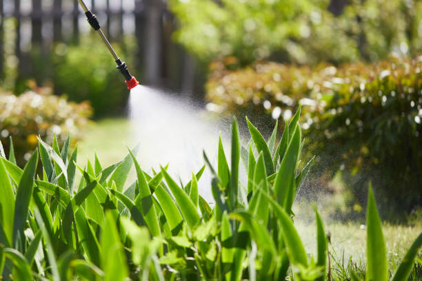 24/7 Emergency Mosquito Control experts in Herndon, VA