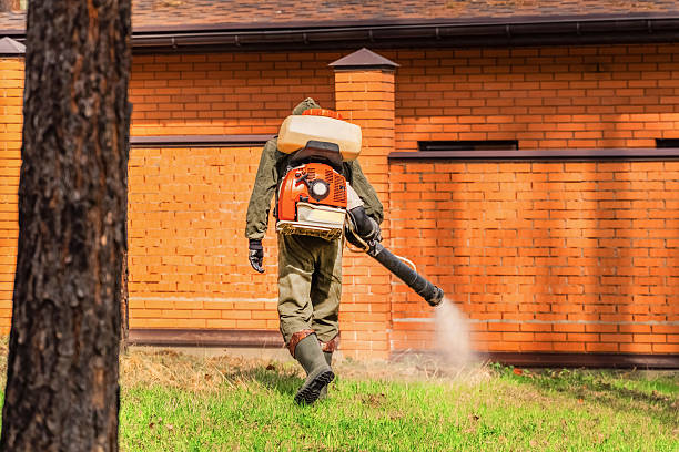 Top rated local Mosquito Control specialists in Herndon, VA
